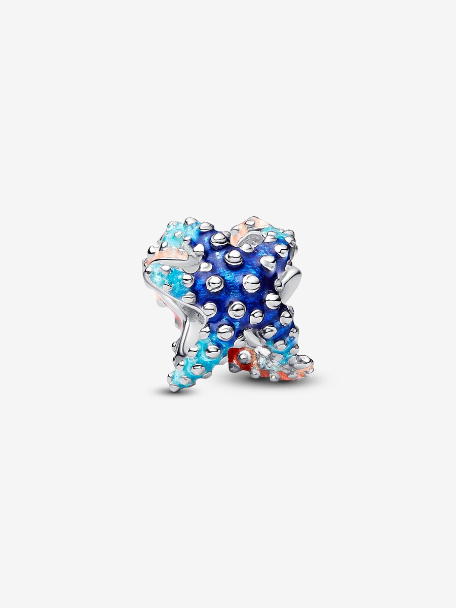 Charm Estrella de Mar Azul y Naranja