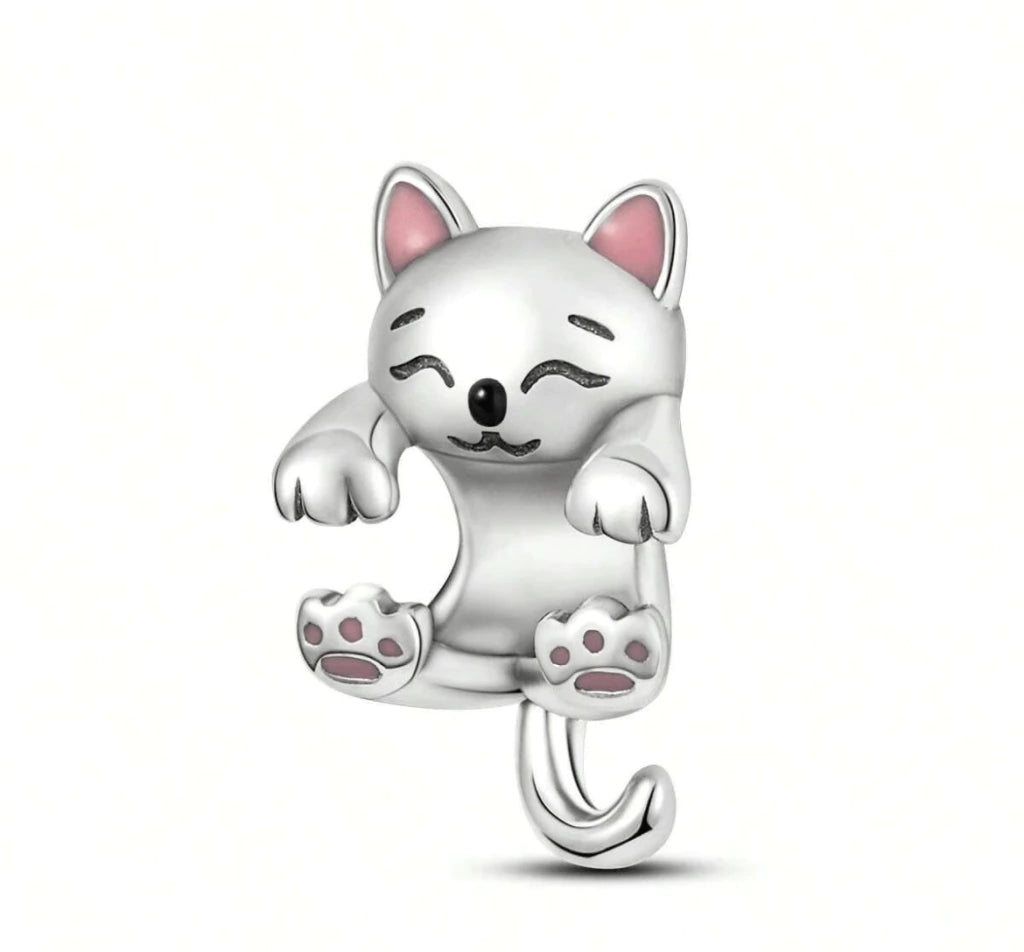 IMG-9103.webp