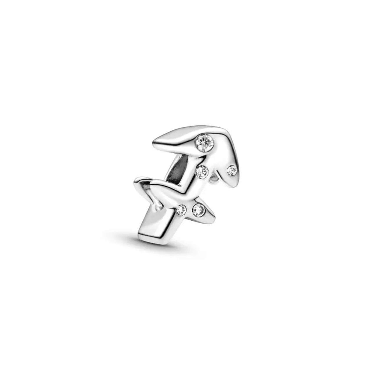 925 Sterling Silver Zodiac Charm for Bracelet – Astrology Horoscope Sign Charm