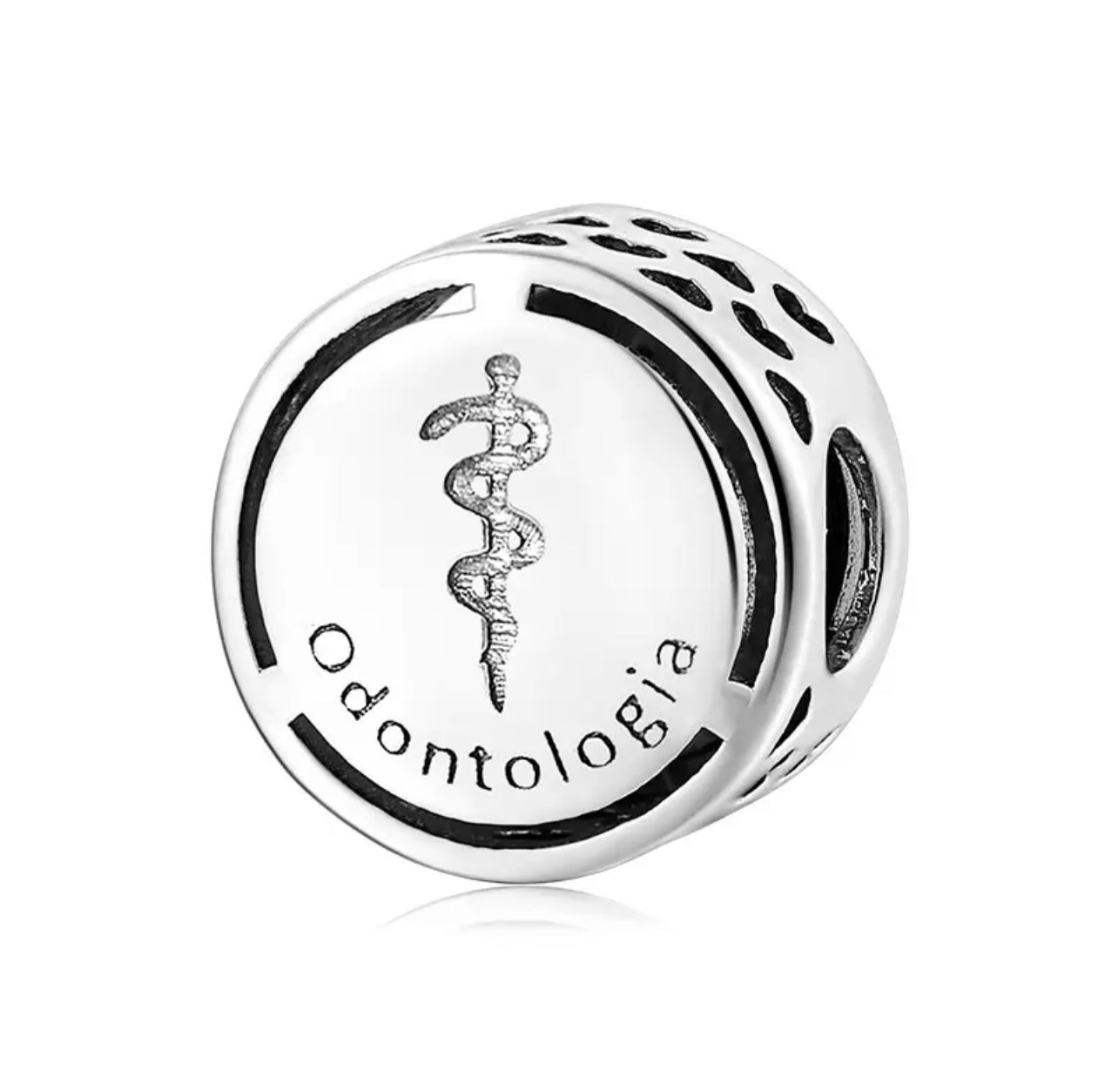 Charms de Profesiones Plata s925